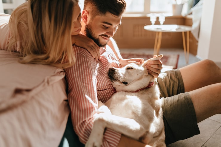 A happy couple cuddles with their yellow lab. The dog's head is on the man's lap, while his partner looks at their dog from the bed, her hand on his shoulder.