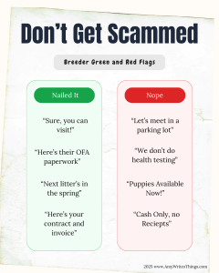 Infographic titled "Don't Get Scammed: Breeder Green and Red Flags" A good breeder will let you visit, show you paperwork, won't have a puppy for you now, and has a contract and receipt for you. 